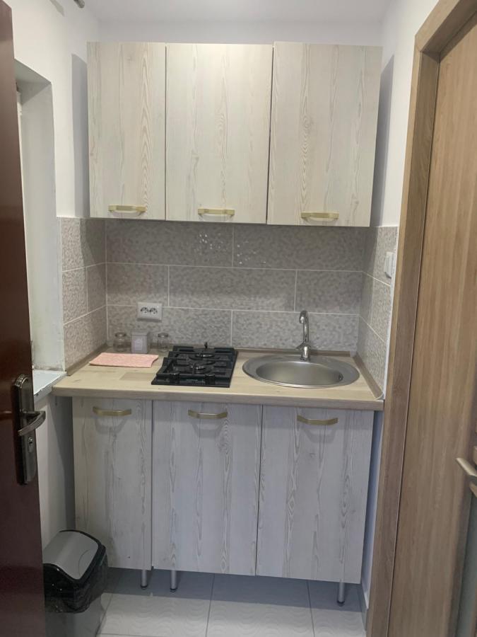 Casa Anastasia-Constanta Delfinariu Екстериор снимка